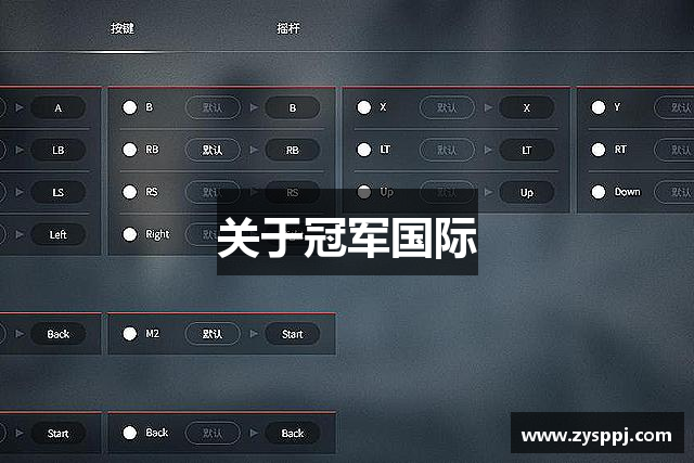 关于冠军国际